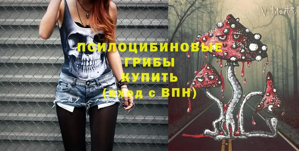 ECSTASY Баксан