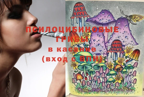ПСИЛОЦИБИНОВЫЕ ГРИБЫ Балахна