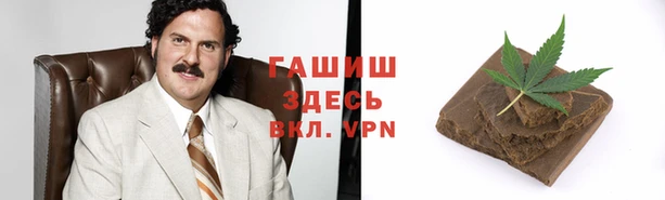 ПСИЛОЦИБИНОВЫЕ ГРИБЫ Балахна