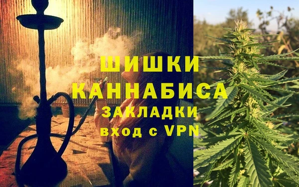 ПСИЛОЦИБИНОВЫЕ ГРИБЫ Балахна