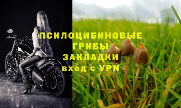 ECSTASY Баксан